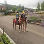 Holiday home La Maison Du Bec En Normandie