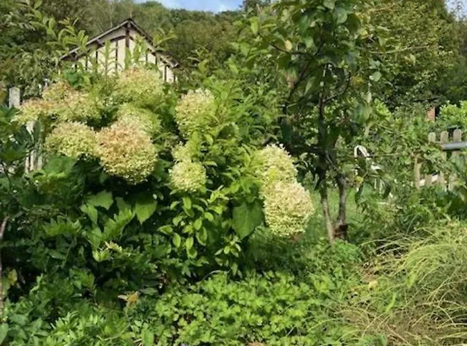 La Maison Du Bec En Normandie Hébergement de vacances Le Bec-Hellouin